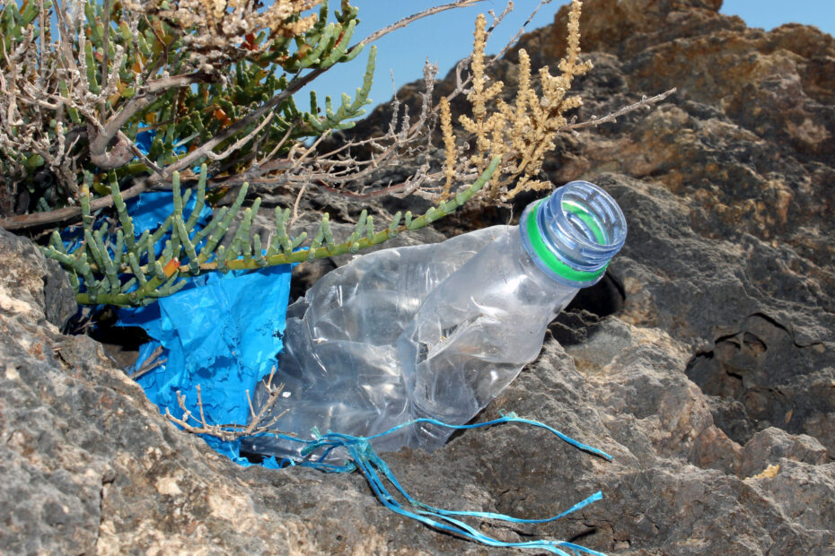 l'inquinamento della spiaggia rappresentata da una bottiglia di plastica nelle rocce rischio chimico banca dati scip